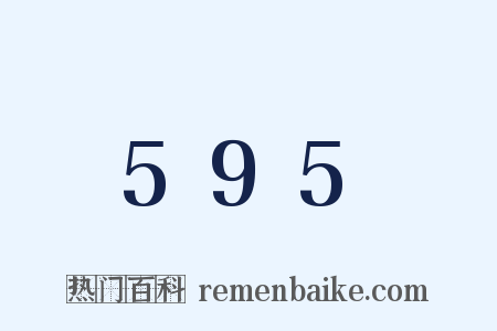 595是什么意思的图片